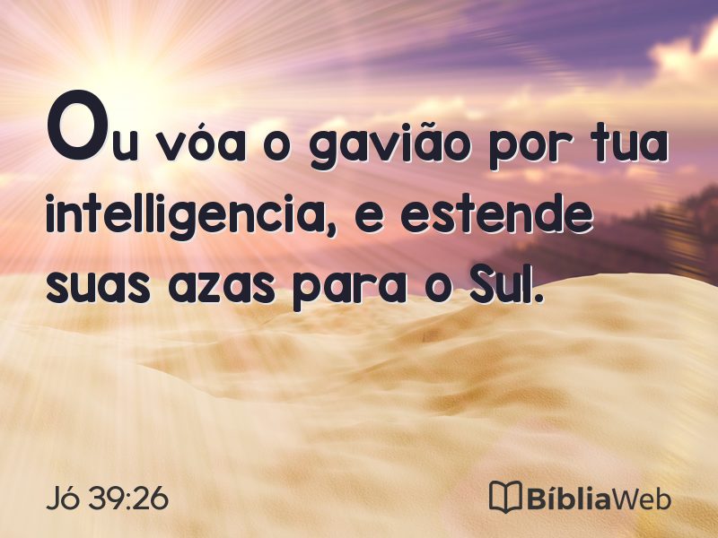 Jó 39:26 em imagem para compartilhar