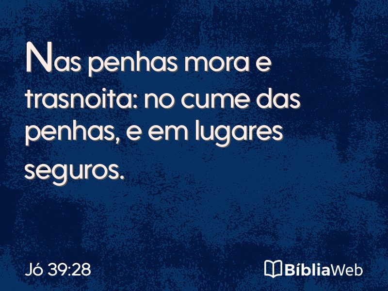 Jó 39:28 em imagem para compartilhar