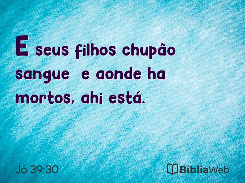 Jó 39:30 em imagem para compartilhar