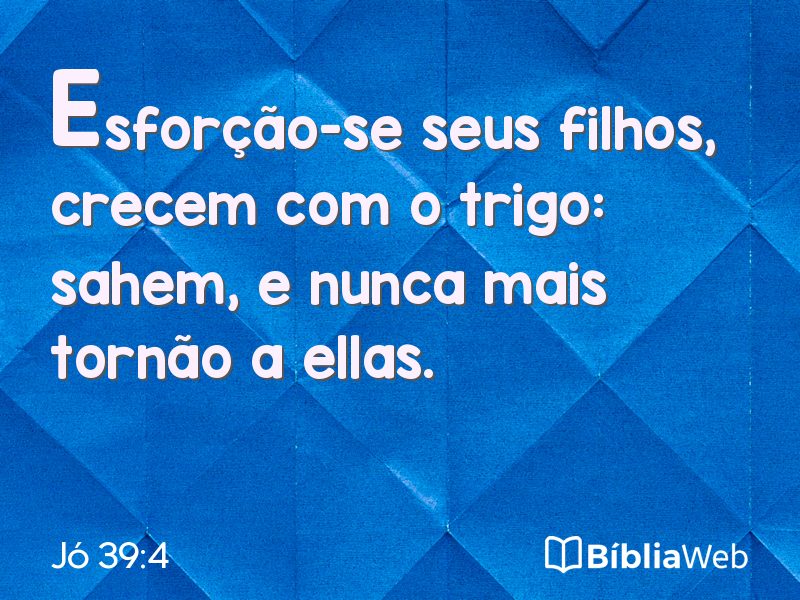 Jó 39:4 em imagem para compartilhar