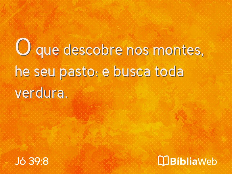 Jó 39:8 em imagem para compartilhar