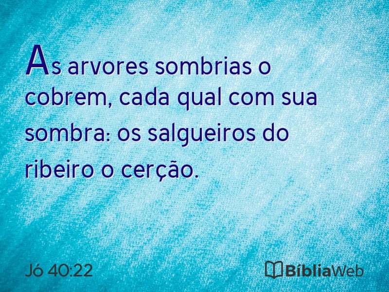 Jó 40:22 em imagem para compartilhar