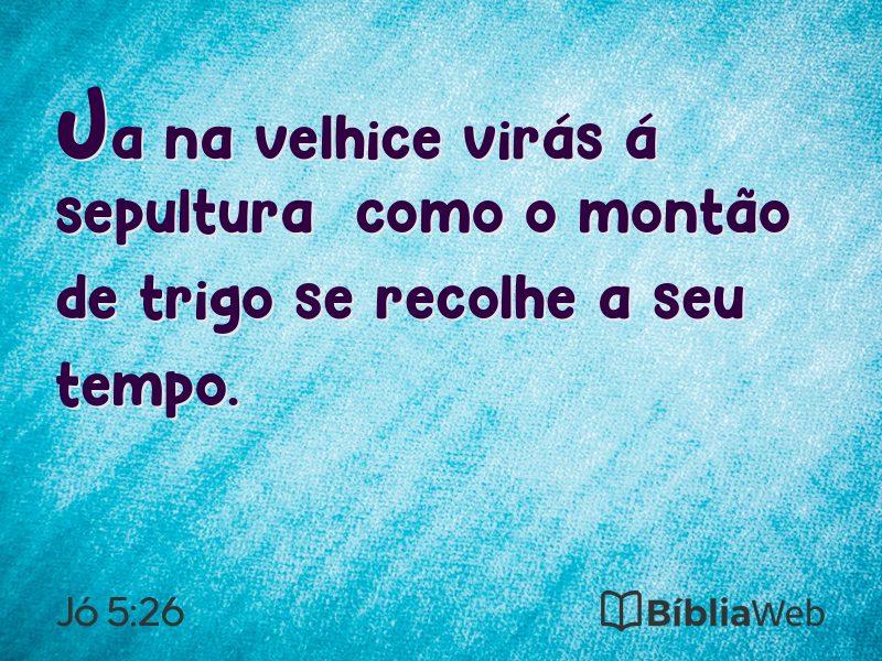 Jó 5:26 em imagem para compartilhar