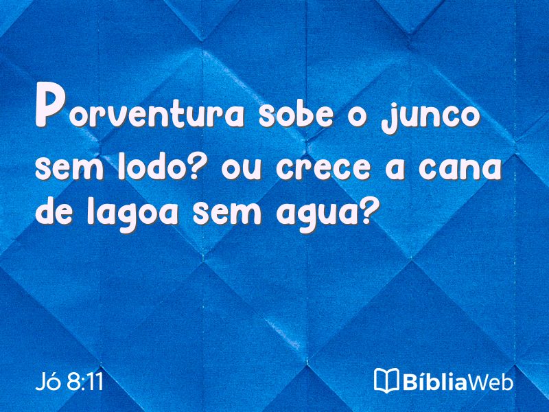 Jó 8:11 em imagem para compartilhar