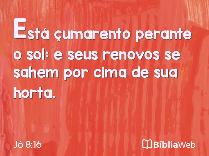 Jó 8:16 em imagem para compartilhar