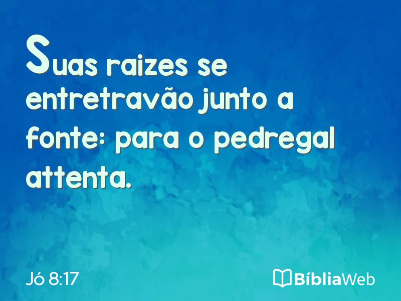 Jó 8:17 em imagem para compartilhar