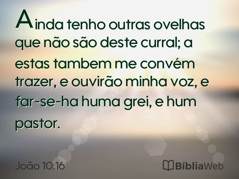 João 10:16 em imagem para compartilhar