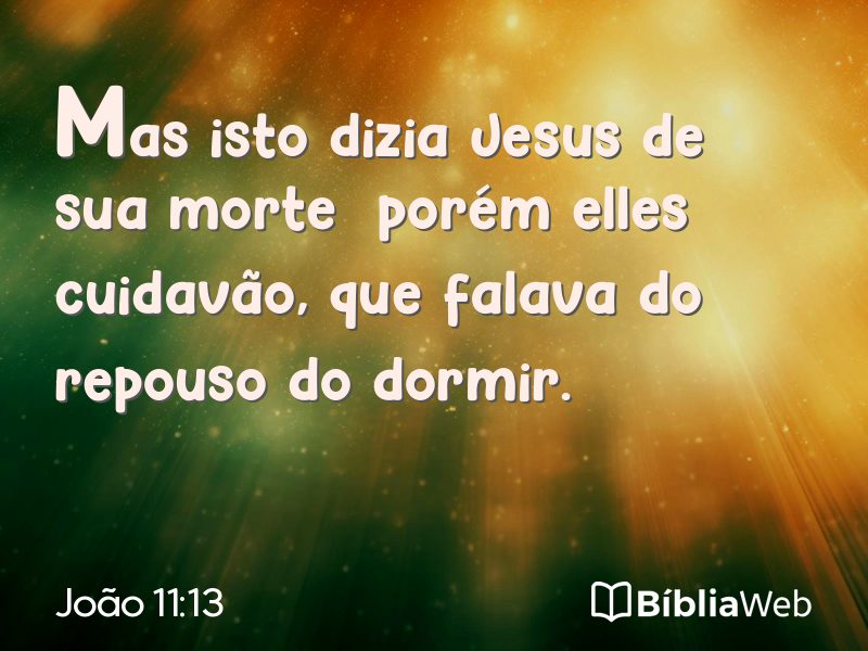 João 11:13 em imagem para compartilhar