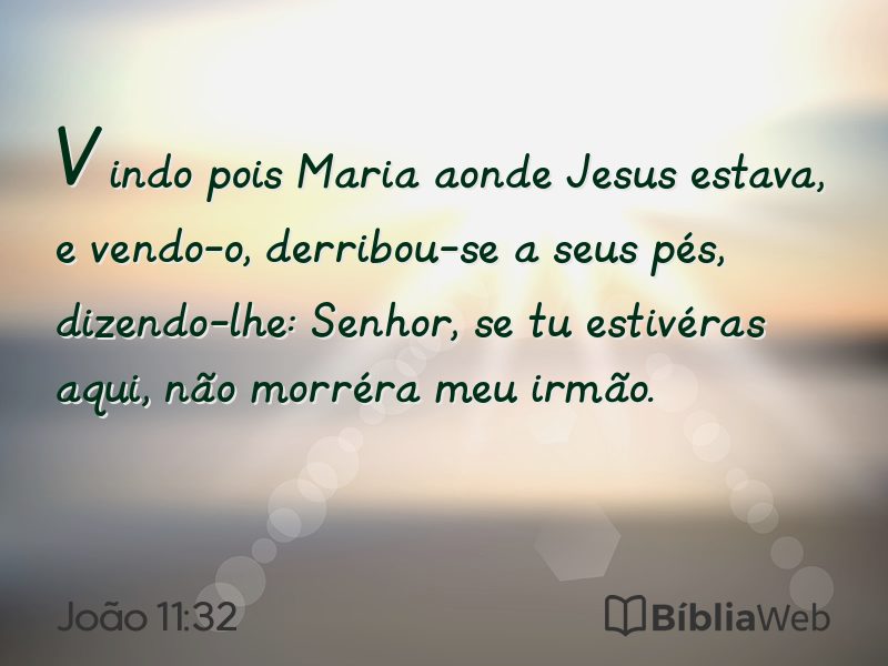 João 11:32 em imagem para compartilhar