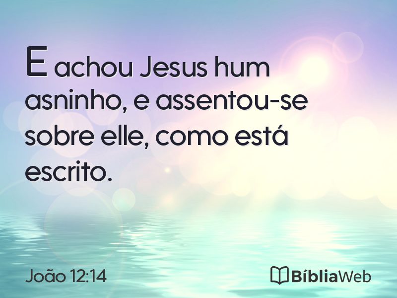 João 12:14 em imagem para compartilhar