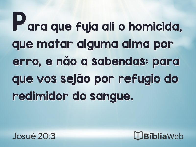 Josué 20:3 em imagem para compartilhar