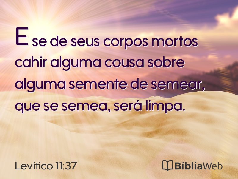 Levítico 11:37 em imagem para compartilhar