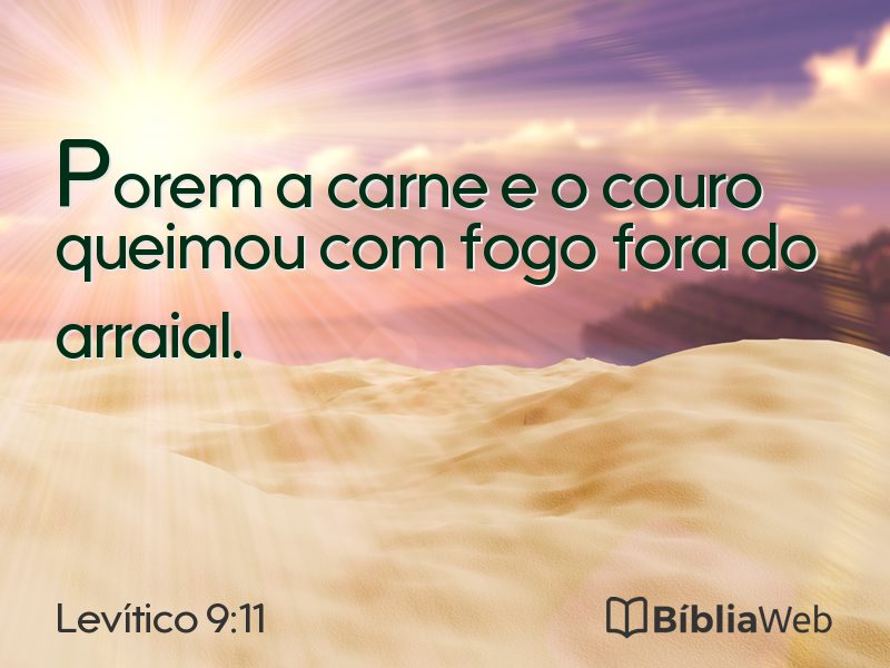 Levítico 9:11 em imagem para compartilhar