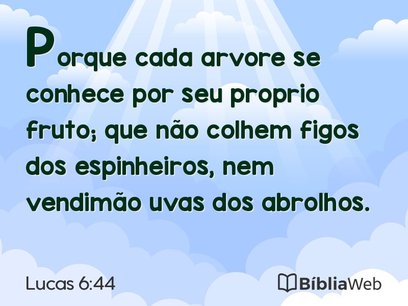 Lucas 6:44 em imagem para compartilhar