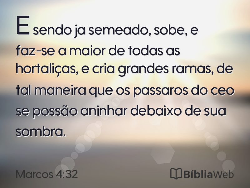 Marcos 4:32 em imagem para compartilhar