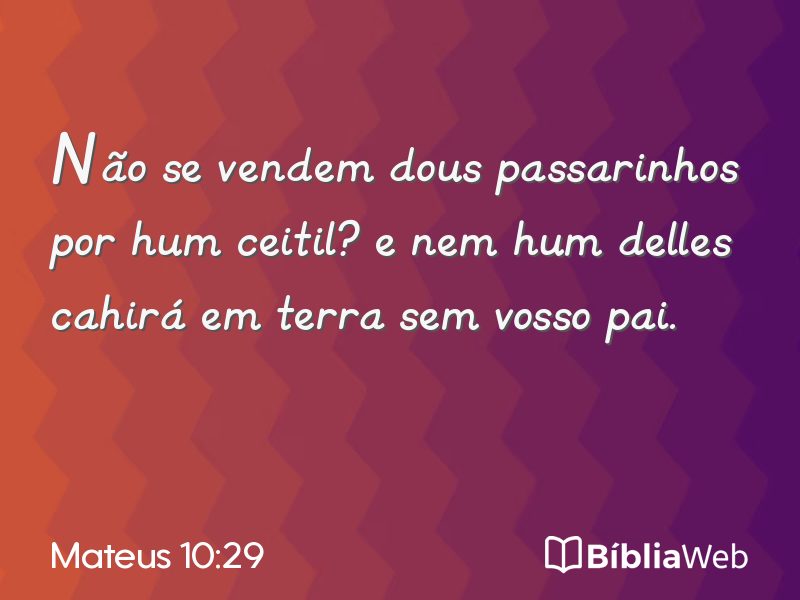 Mateus 10:29 em imagem para compartilhar
