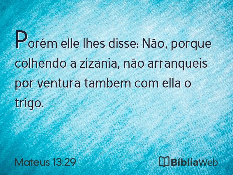 Mateus 13:29 em imagem para compartilhar