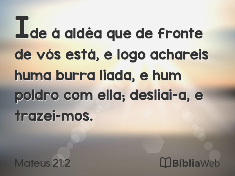 Mateus 21:2 em imagem para compartilhar