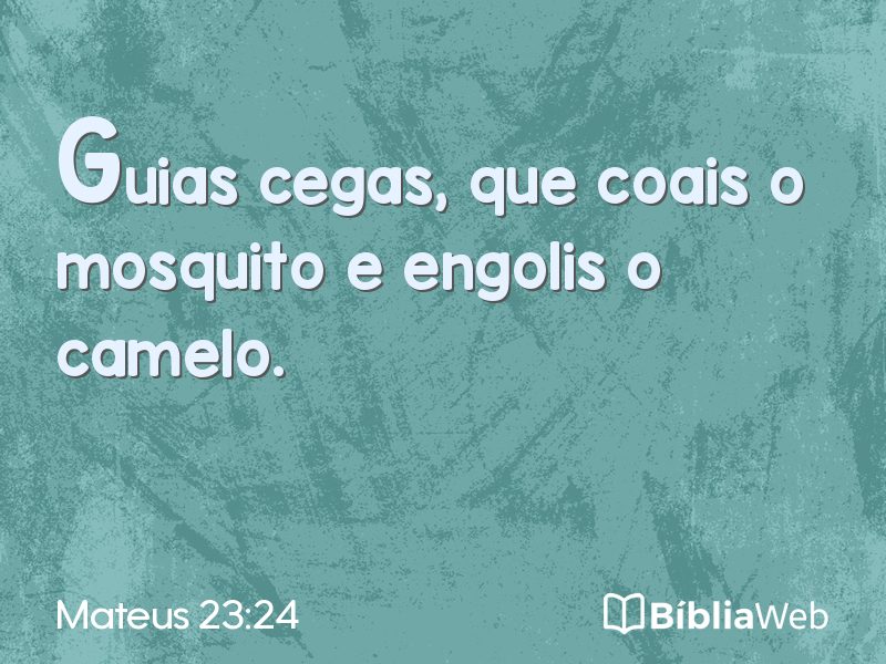 Mateus 23:24 em imagem para compartilhar