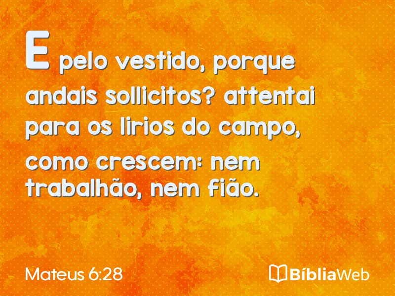 Mateus 6:28 em imagem para compartilhar