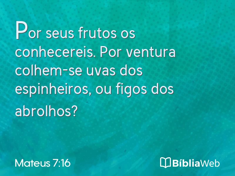 Mateus 7:16 em imagem para compartilhar