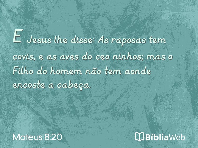 Mateus 8:20 em imagem para compartilhar
