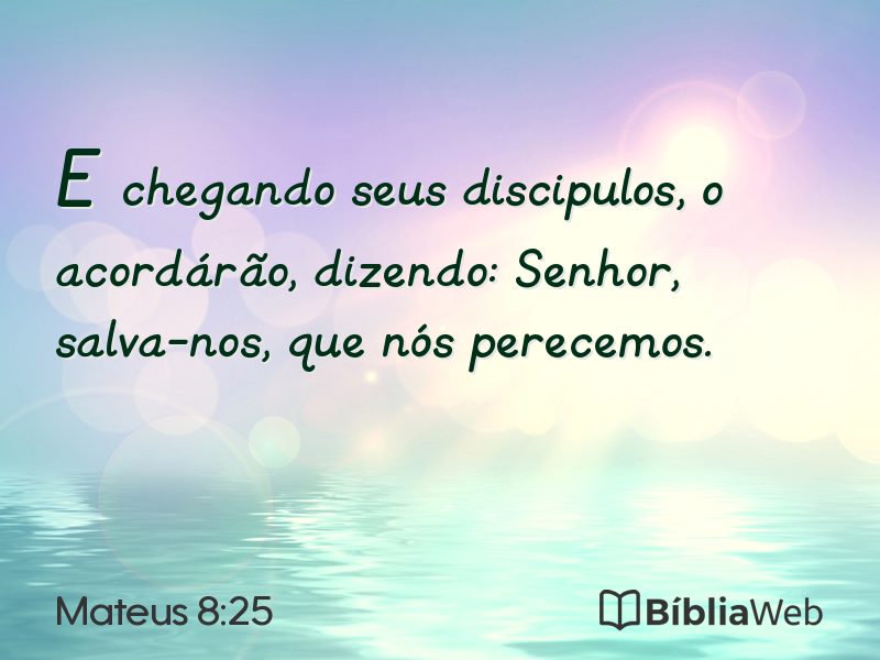 Mateus 8:25 em imagem para compartilhar