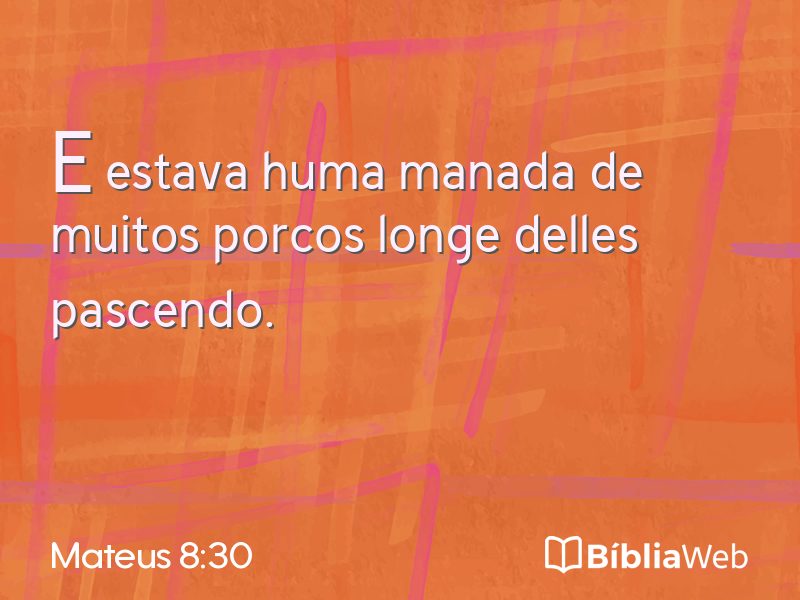Mateus 8:30 em imagem para compartilhar