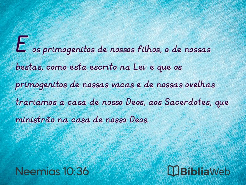 Neemias 10:36 em imagem para compartilhar