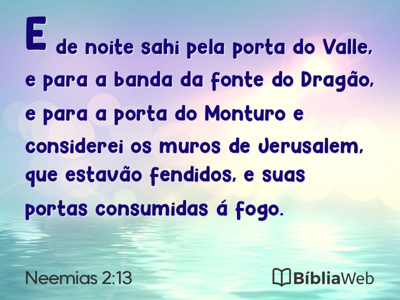 Neemias 2:13 em imagem para compartilhar