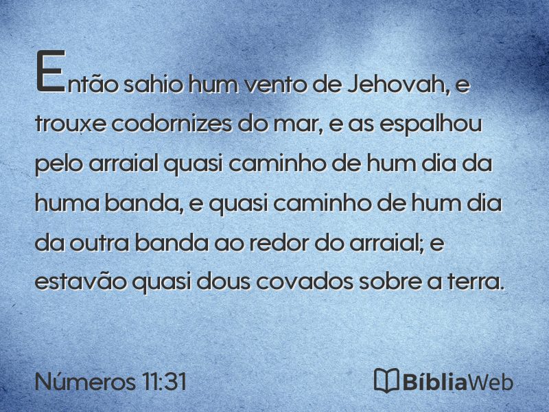 Números 11:31 em imagem para compartilhar