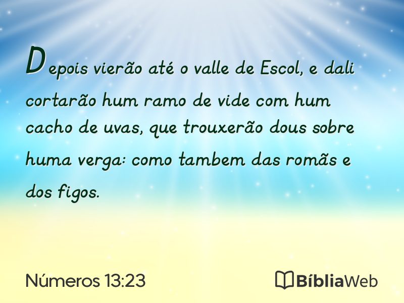 Números 13:23 em imagem para compartilhar