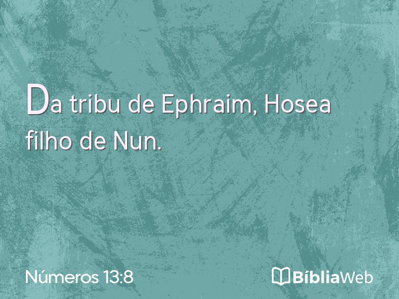 Números 13:8 em imagem para compartilhar