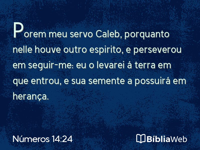 Números 14:24 em imagem para compartilhar