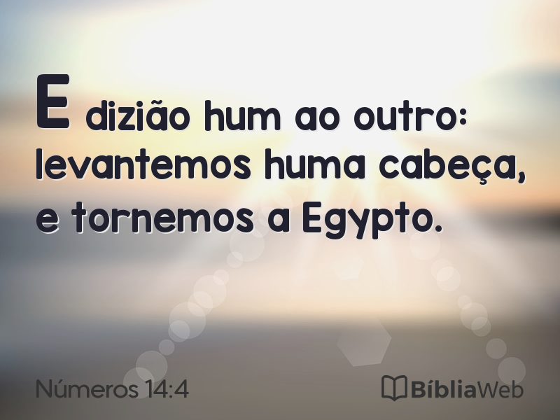 Números 14:4 em imagem para compartilhar