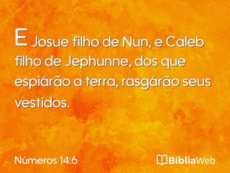 Números 14:6 em imagem para compartilhar