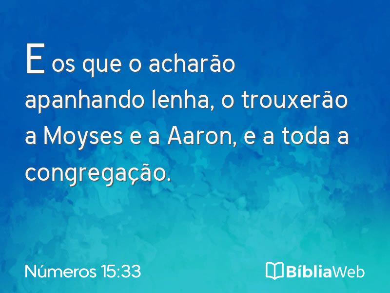 Números 15:33 em imagem para compartilhar