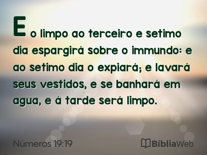Números 19:19 em imagem para compartilhar
