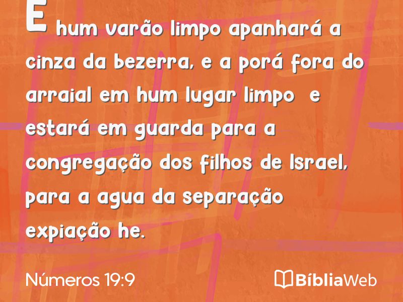 Números 19:9 em imagem para compartilhar