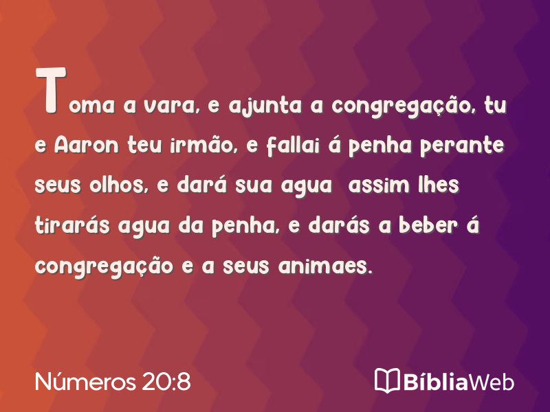 Números 20:8 em imagem para compartilhar