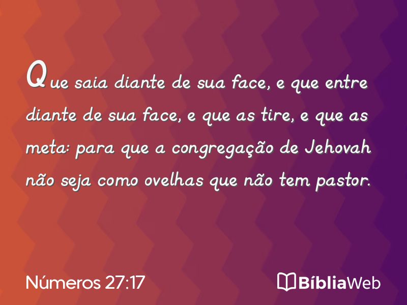 Números 27:17 em imagem para compartilhar