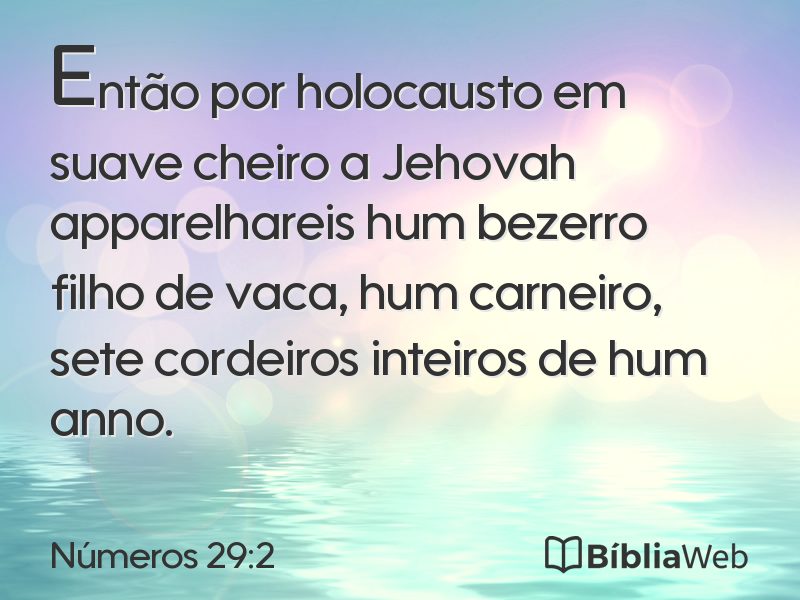 Números 29:2 em imagem para compartilhar