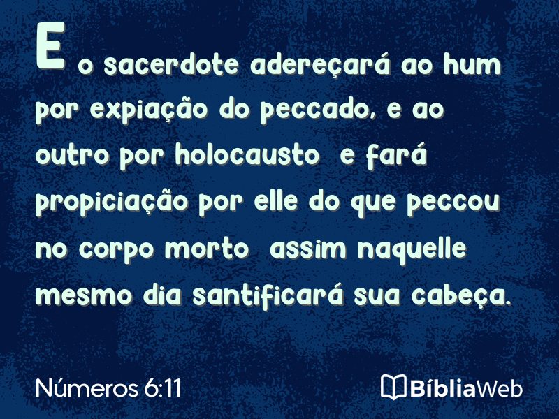Números 6:11 em imagem para compartilhar
