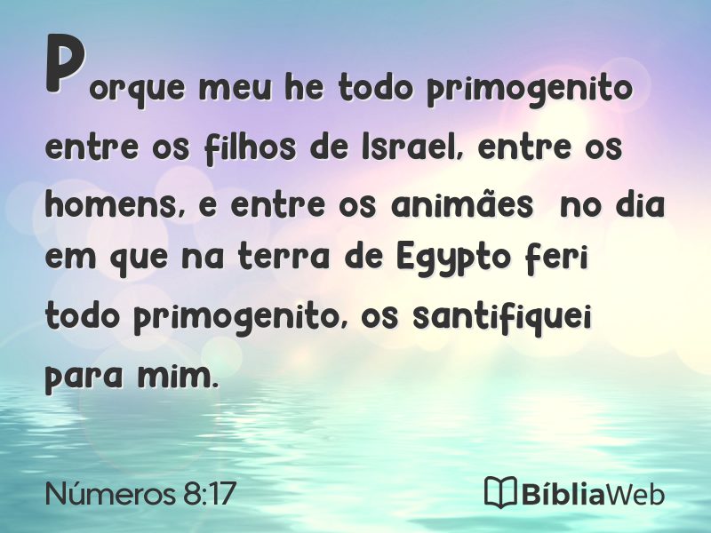 Números 8:17 em imagem para compartilhar