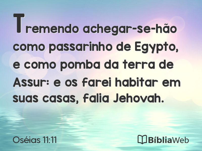 Oséias 11:11 em imagem para compartilhar