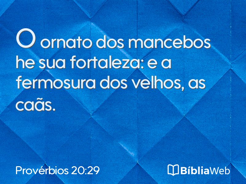 Provérbios 20:29 em imagem para compartilhar