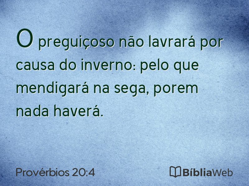 Provérbios 20:4 em imagem para compartilhar