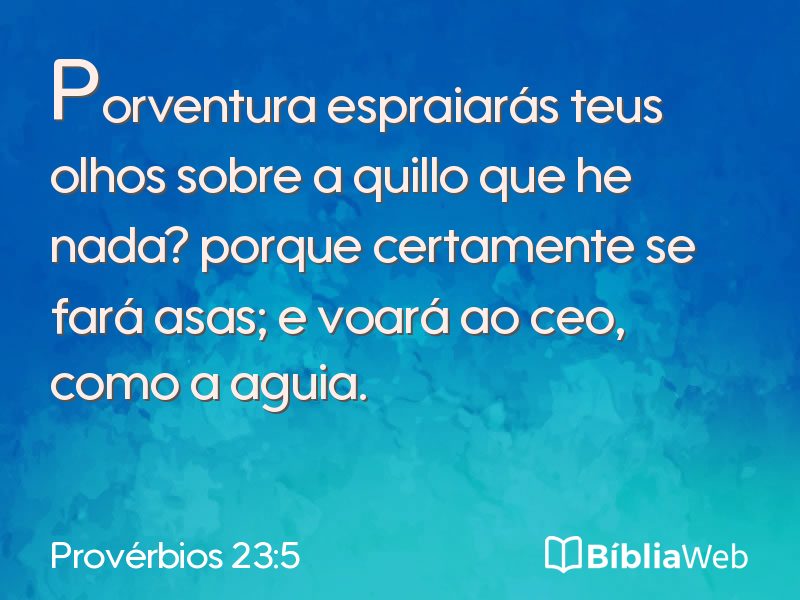 Provérbios 23:5 em imagem para compartilhar