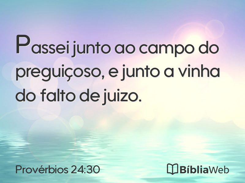 Provérbios 24:30 em imagem para compartilhar