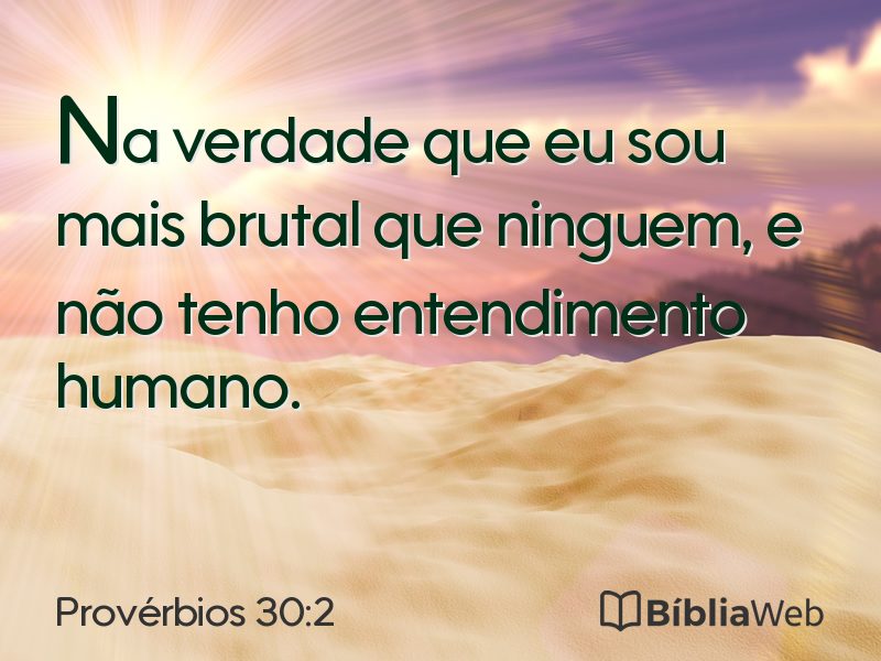 Provérbios 30:2 em imagem para compartilhar